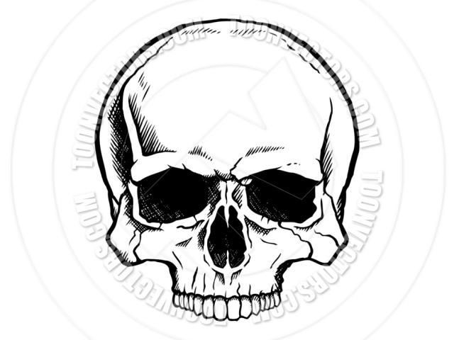 640x480 Simple Skull Drawing - Simple Skull Drawing