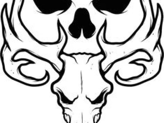640x480 Simple Skull Drawing Ideas - Simple Skull Drawing
