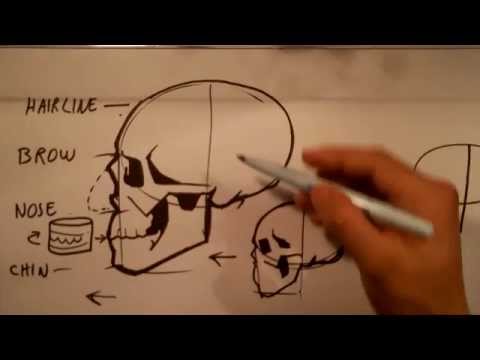 480x360 How To Draw Skull Drawings - Simple Skull Side Drawing
