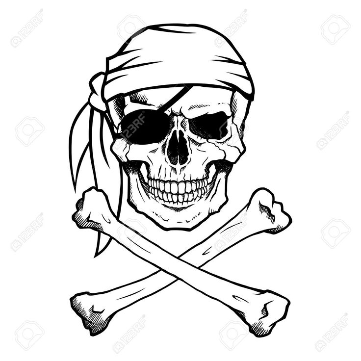 736x736 Skull Drawing Images Group With Items - Simple Skull Side Drawing