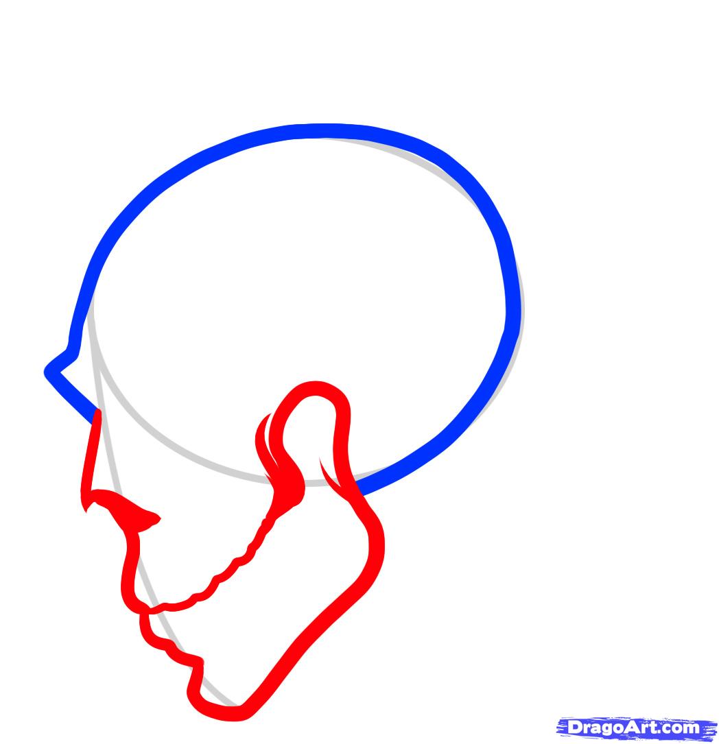 1048x1085 step how to draw a skull and roses, skull and roses - Simple Skull Side Drawing