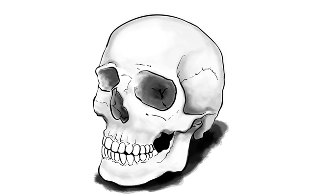 650x400 Step - Simple Skull Side Drawing