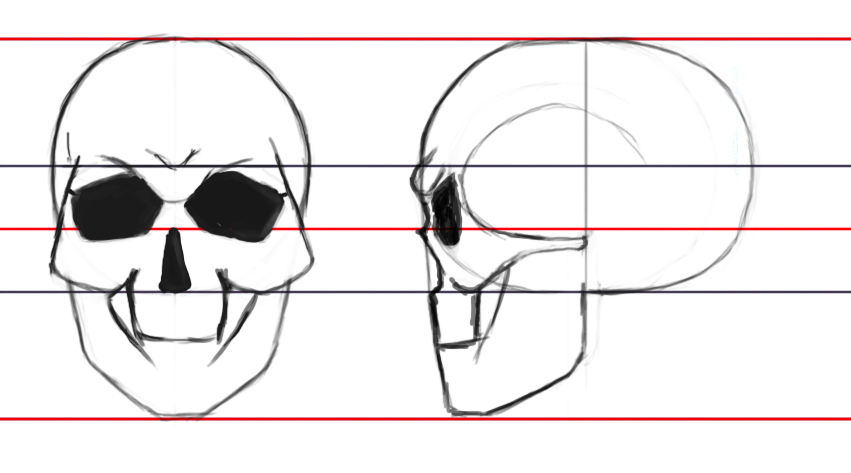 Как нарисовать череп в профиль поэтапно