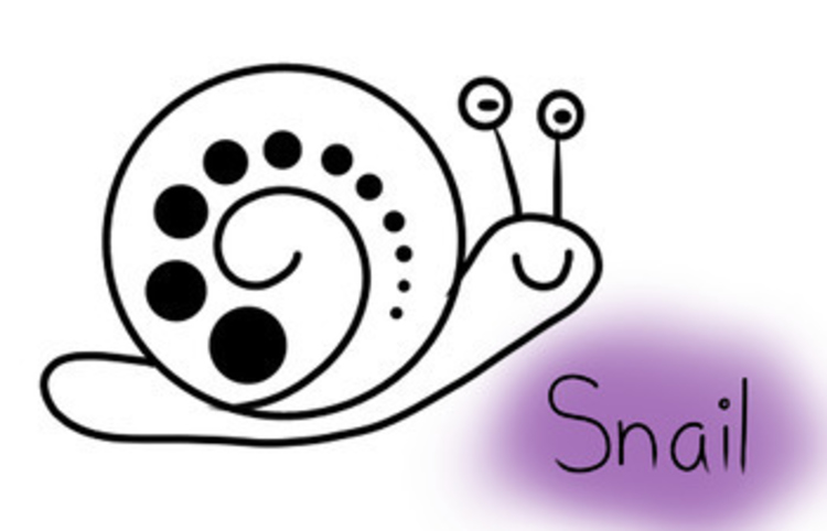 750x482 How To Draw Basic Snail Step - Simple Snail Drawing