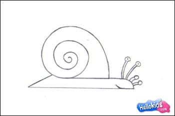 350x233 How To Draw Land Snail - Simple Snail Drawing