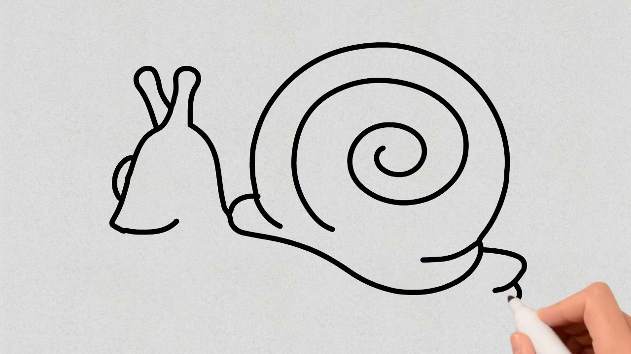 1280x720 Snail Drawing Simple Basic - Simple Snail Drawing