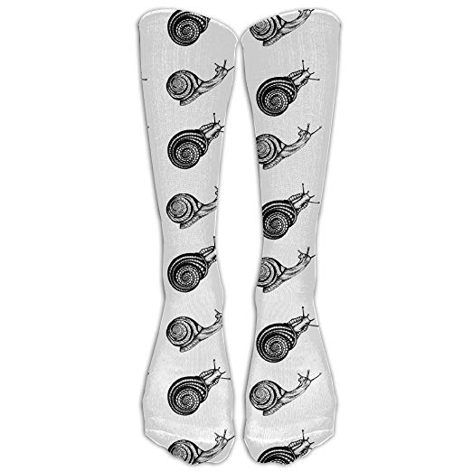 522x522 Tttea Simple Snail Drawing Outdoor Sports Long High - Simple Snail Drawing