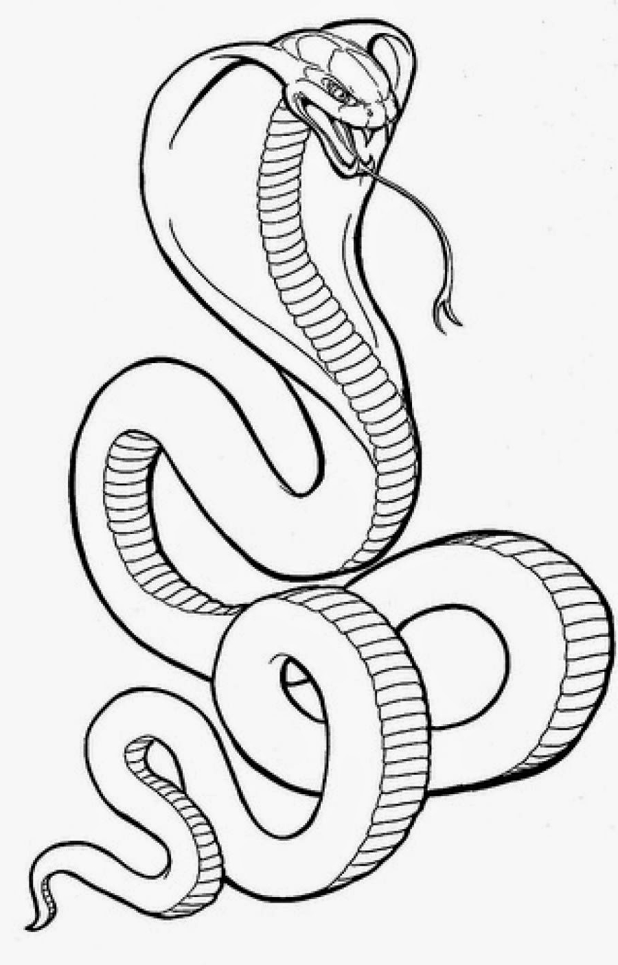 Simple Snake Drawing