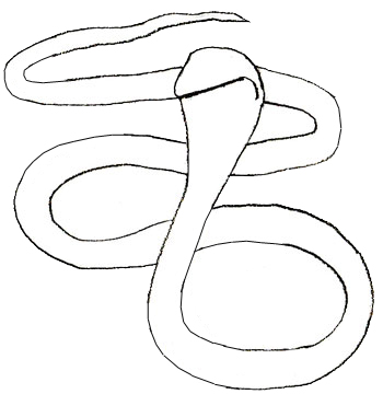 350x360 How To Draw A Snake - Simple Snake Drawing