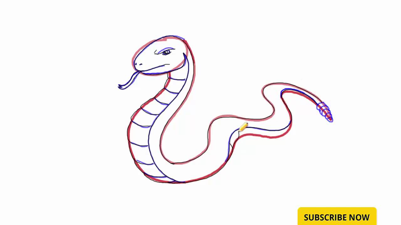 1280x720 How To Draw A Snake For Kids - Simple Snake Drawing