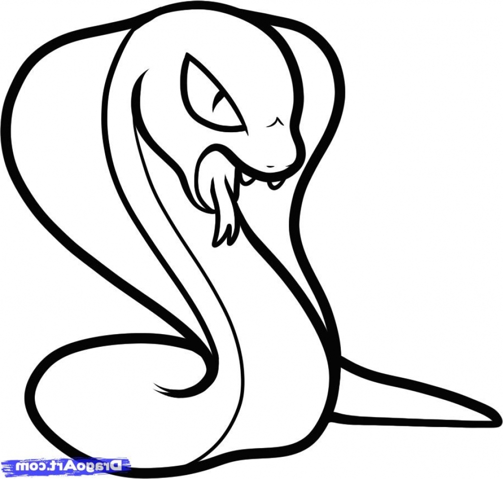 1024x975 Snake Drawing Simple For Free Download - Simple Snake Drawing