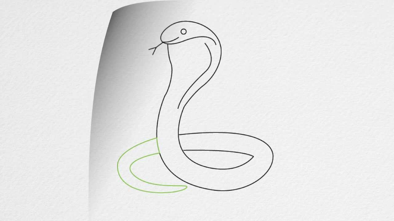Simple Snake Drawing at Explore collection of