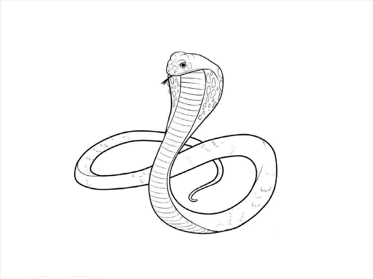 Featured image of post Snake Drawing Images Easy