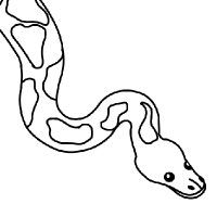 200x200 Drawing Python Snake - Simple Snake Drawing