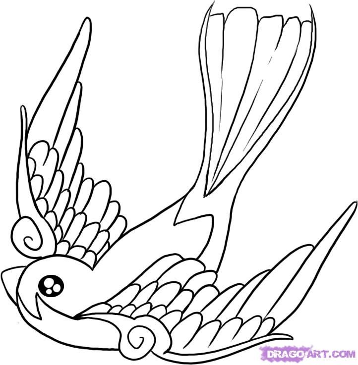 722x737 Pix For Gt Simple Sparrow Drawing - Simple Sparrow Drawing
