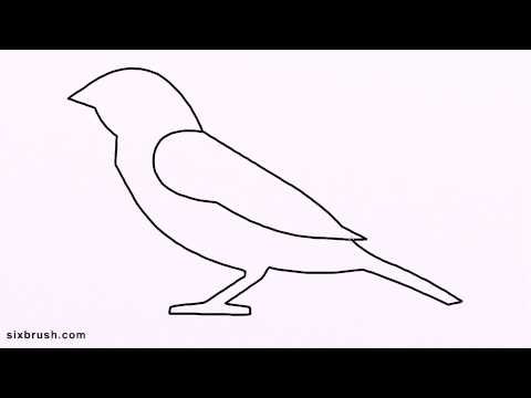 480x360 C How To Draw Cartoon Sparrow Step - Simple Sparrow Drawing