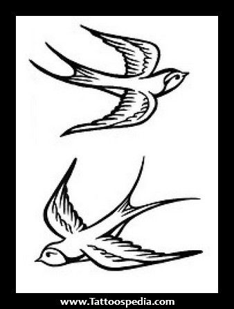 338x446 Easy Drawings Of Sparrows Simple Sparrow Drawing Simple Sparrow - Simple Sparrow Drawing