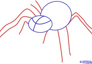 300x210 easy spider drawing how to draw a simple spider web - Simple Spider Drawing