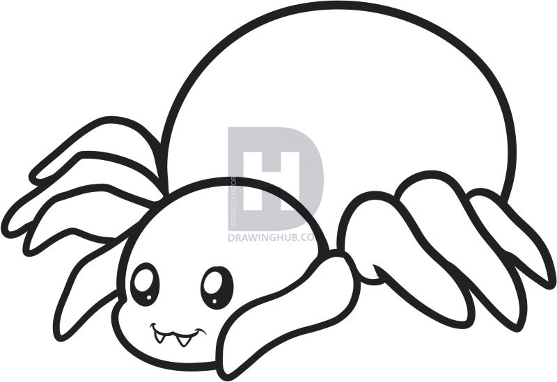800x549 How To Draw A Spider For Kids, Step - Simple Spider Drawing