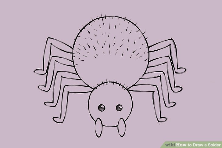 728x485 Ways To Draw A Spider - Simple Spider Drawing