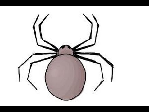 480x360 How To Draw A Simple Spider - Simple Spider Drawing