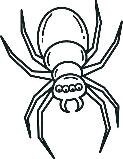 426x550 simple spider drawing simple spider web drawing drawing - Simple Spider Drawing