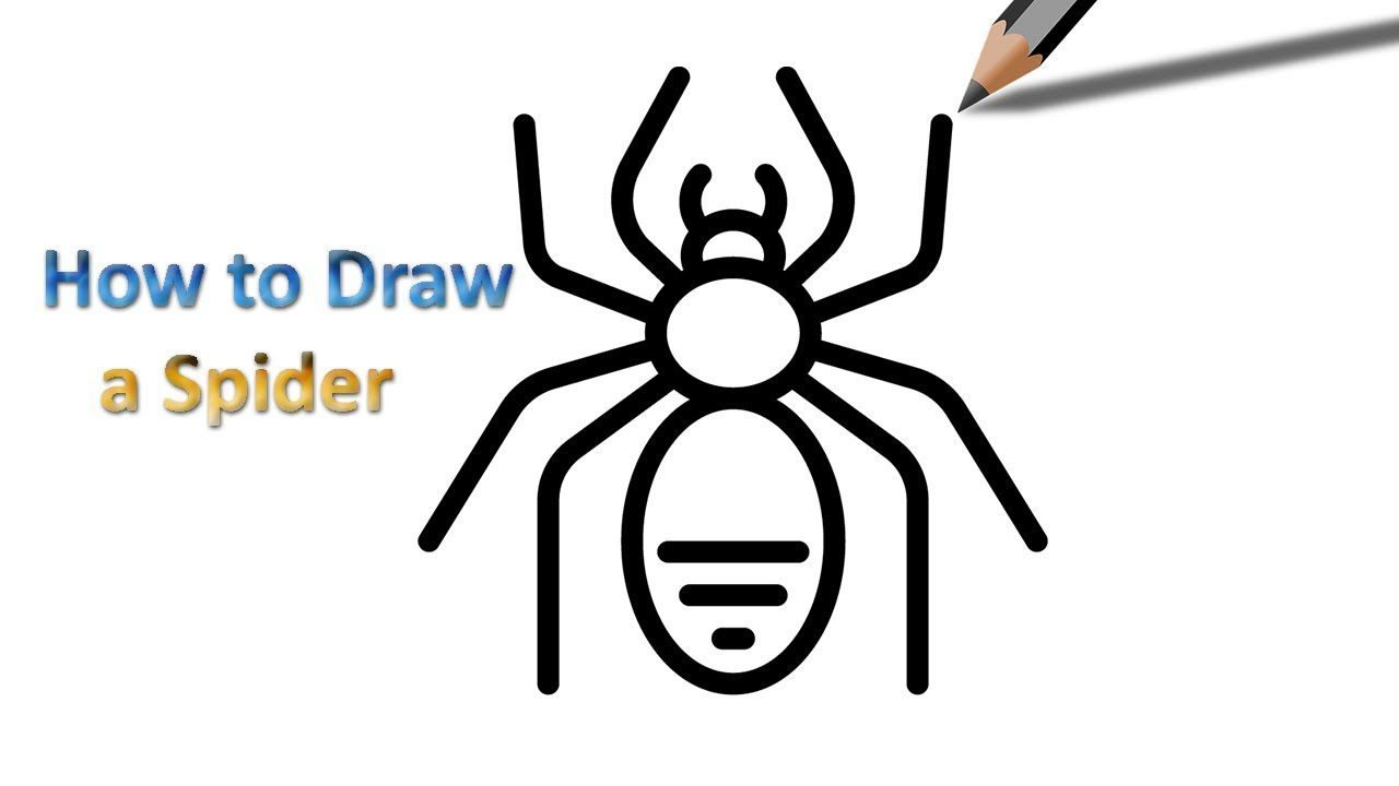 easy how to draw a spider How to draw a spider easy step by step ...