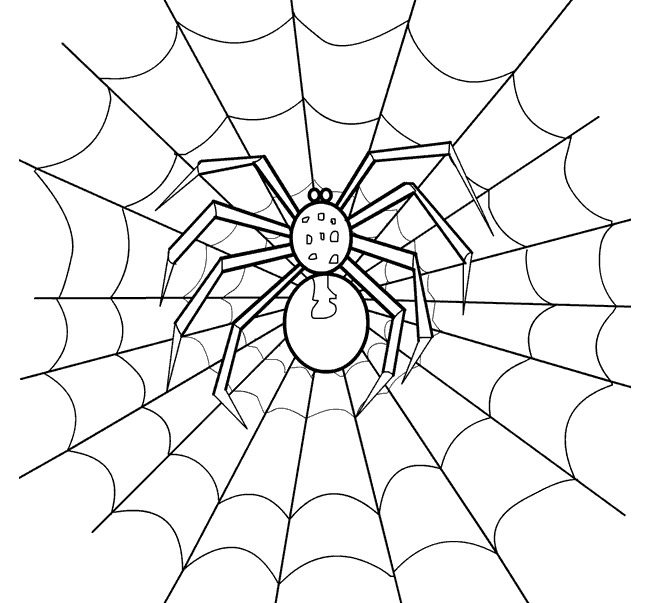 Simple Spider Web Drawing at PaintingValley.com | Explore collection of