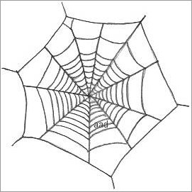 271x271 Spider Web Drawing - Simple Spider Web Drawing