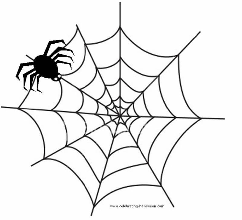 Simple Spider Web Drawing at PaintingValley.com | Explore collection of