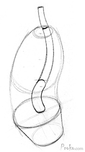 176x314 how to draw the spine proko - Simple Spine Drawing