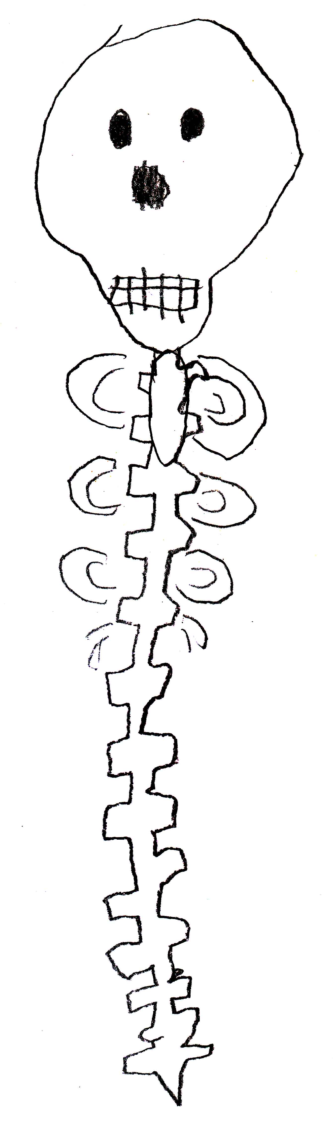 Simple Spine Drawing at Explore collection of