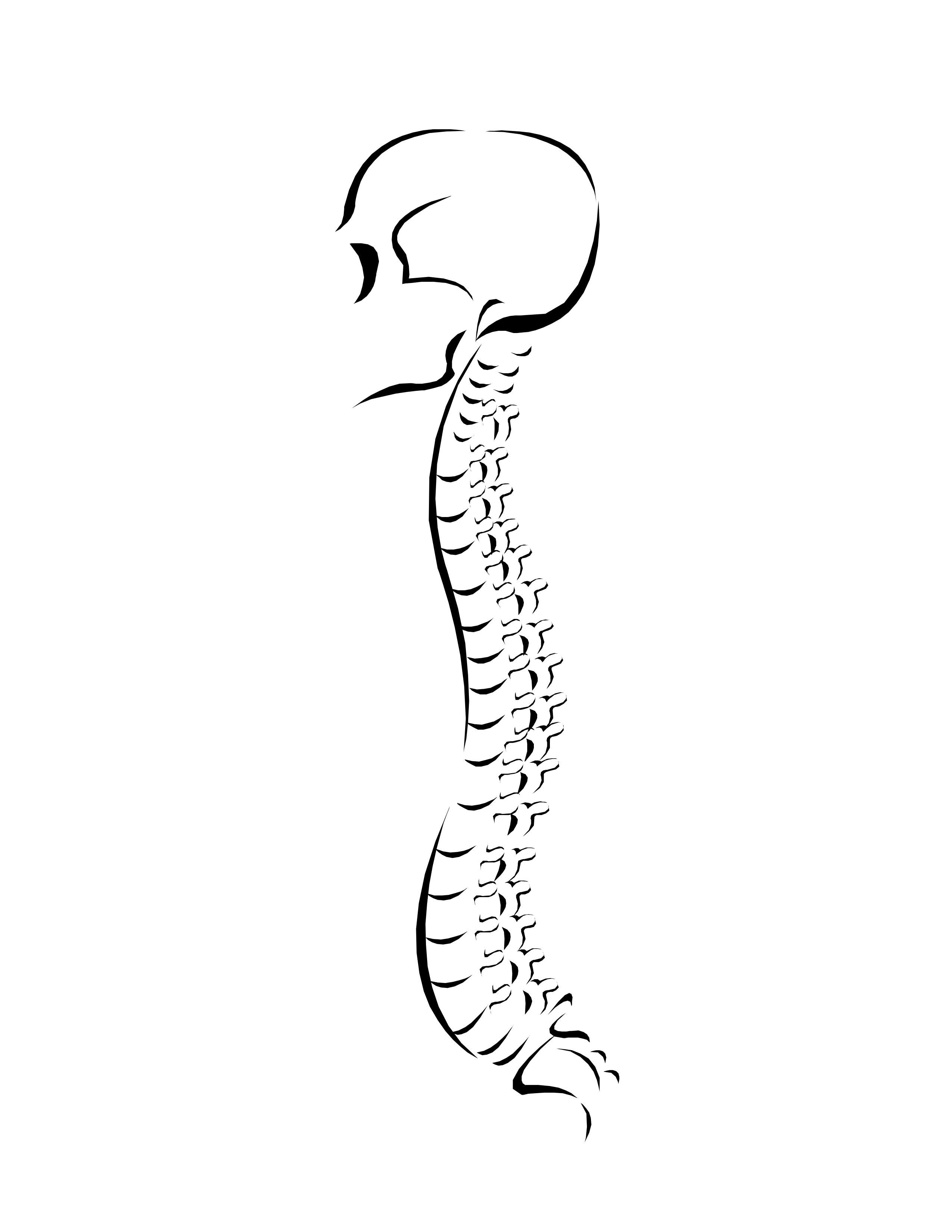 Simple Spine Drawing at PaintingValley.com | Explore collection of