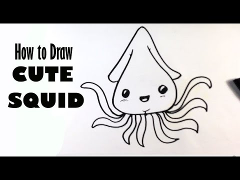 480x360 How To Draw A Squid - Simple Squid Drawing