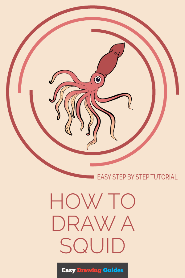 600x900 How To Draw A Squid - Simple Squid Drawing