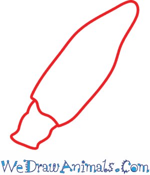 300x350 How To Draw A Squid - Simple Squid Drawing