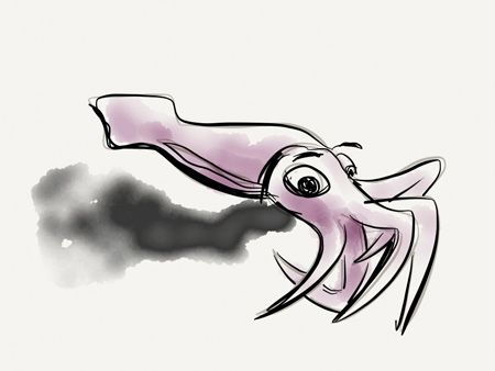 450x338 Easy Squid Drawing Simple Squid Drawing Another C A R T Oo N Y - Simple Squid Drawing