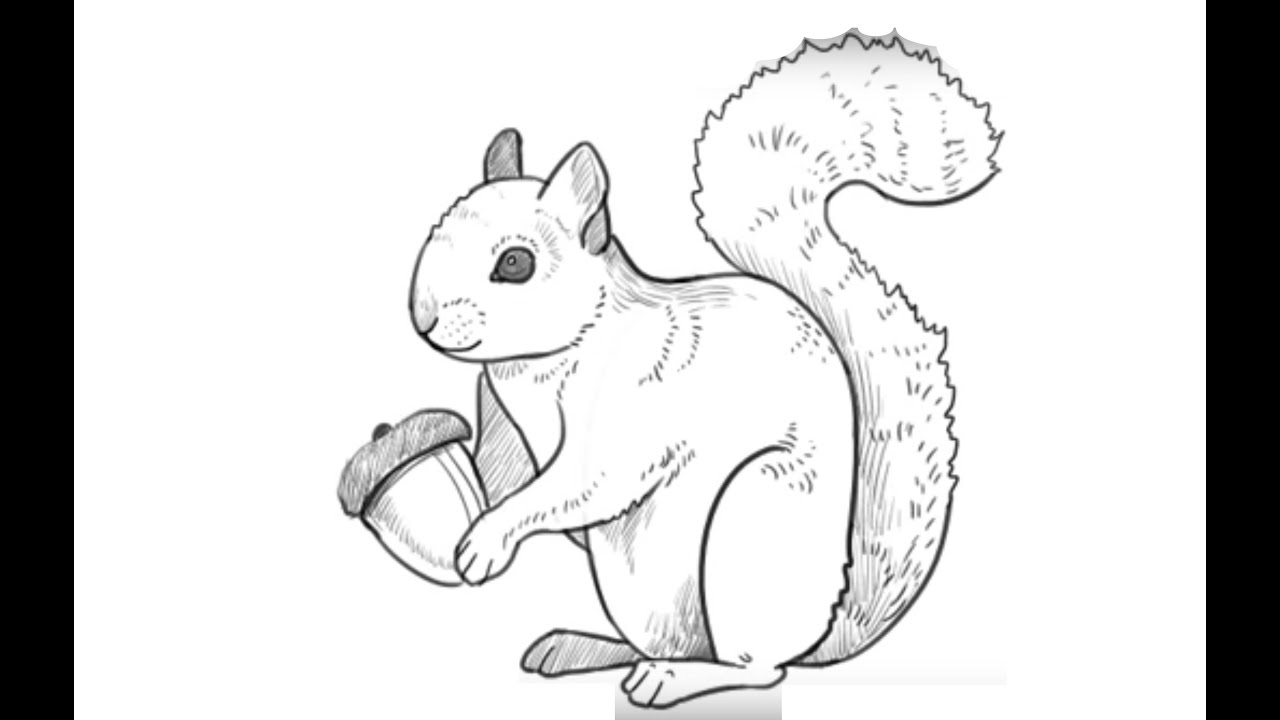 1280x720 how to draw a squirrelkak narisovat belku - Simple Squirrel Drawing