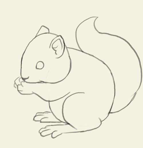 500x518 How To Draw Squirrel Learn To Draw A Cute Bunny Step - Simple Squirrel Drawing