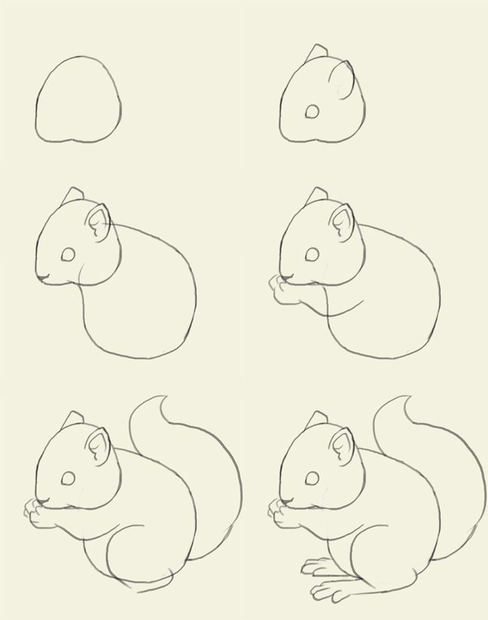 700x889 Just In Case, Ya Know, You Ever Need To Draw A Squirrel - Simple Squirrel Drawing