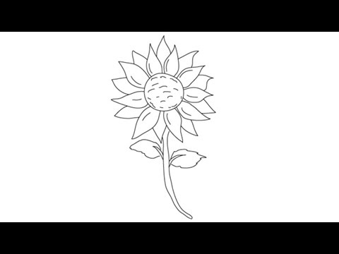 480x360 How To Draw A Sunflower - Simple Sunflower Drawing