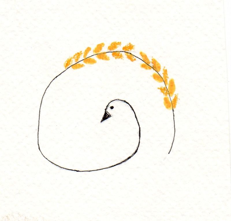 800x767 Simple Sweet Drawing Of A Swan Print + Paper - Simple Swan Drawing