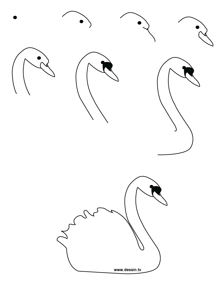 768x1024 Drawing Swan - Simple Swan Drawing