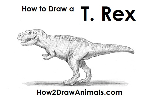 Simple T Rex Drawing at PaintingValley.com | Explore collection of ...