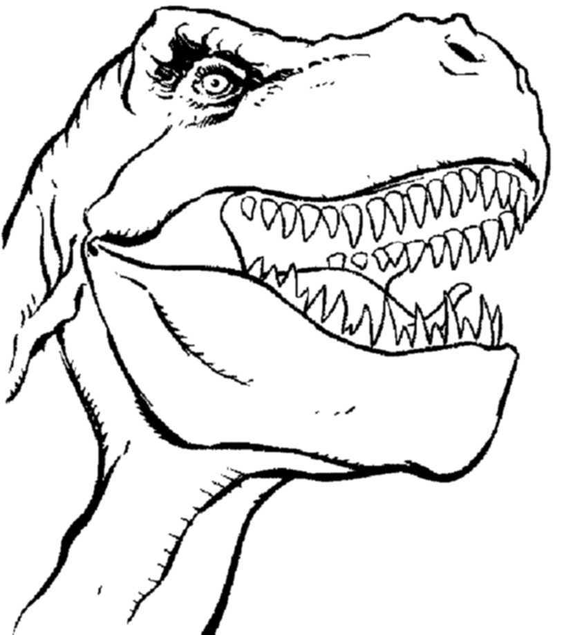 simple t rex dinosaur drawing