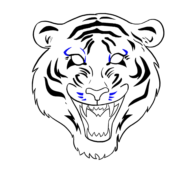 678x600 How To Draw A Tiger Face In A Few Easy Steps Easy Drawing Guides - Simple Tiger Drawing
