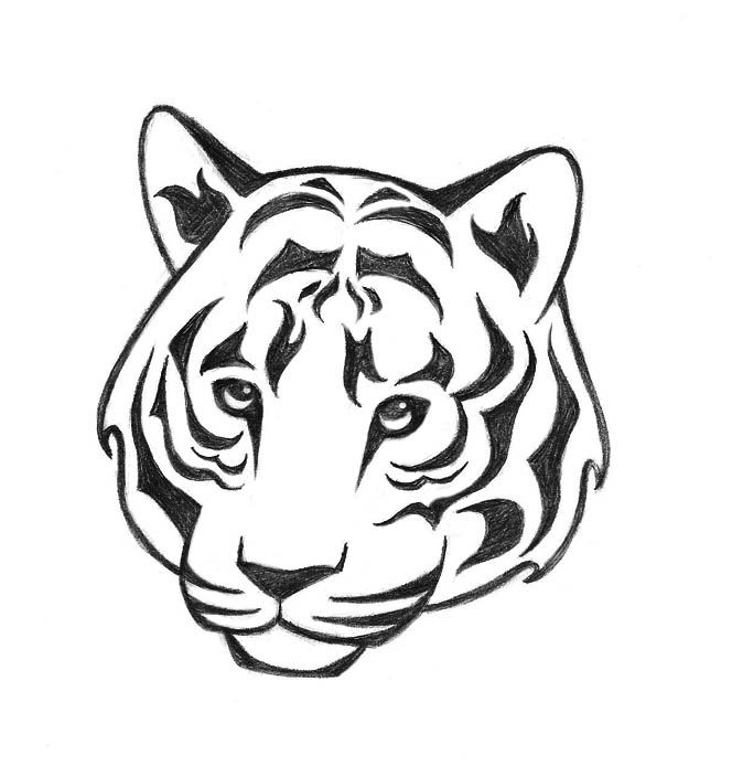 Simple Tiger Drawing