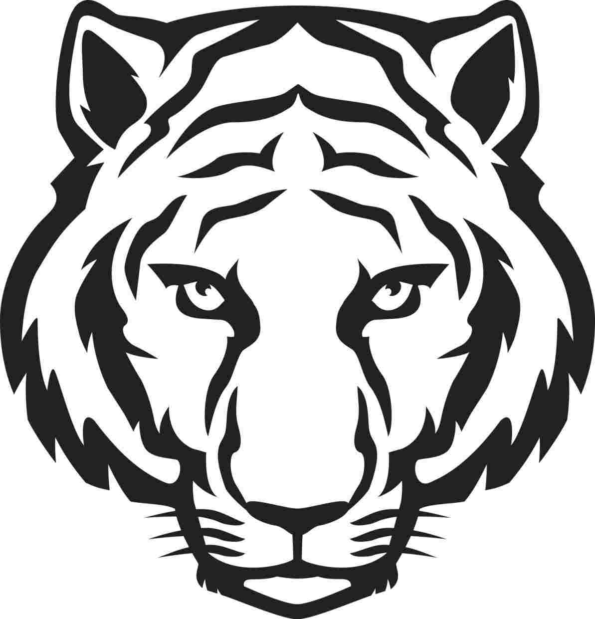 Simple Tiger Drawing at Explore collection of