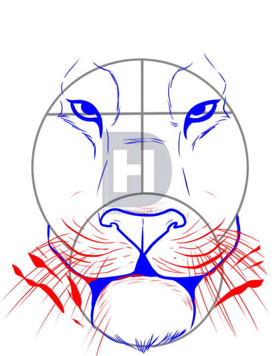 Simple Tiger Face Drawing at PaintingValley.com | Explore collection of ...