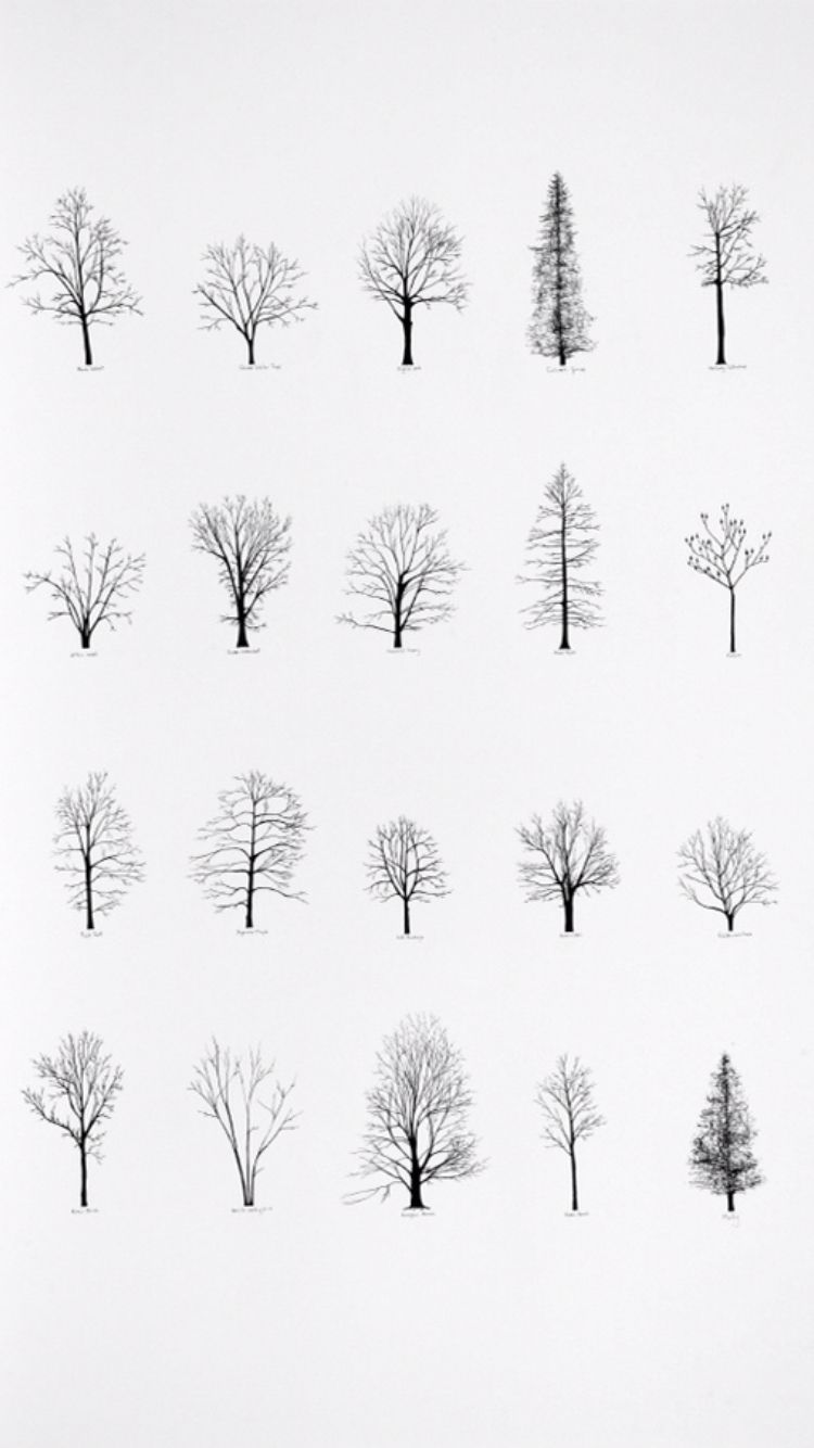 750x1334 Drawings, Tattoo Spiration Art Draw Grafica - Simple Tree Drawing